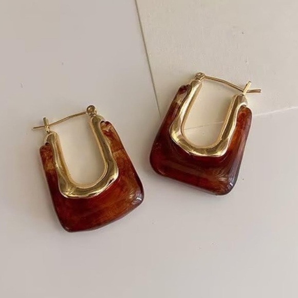 Anthropologie Jewelry - Anthropologie Brown Hoop Earrings